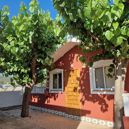 Camping Los Pinos Peñíscola 외부 사진