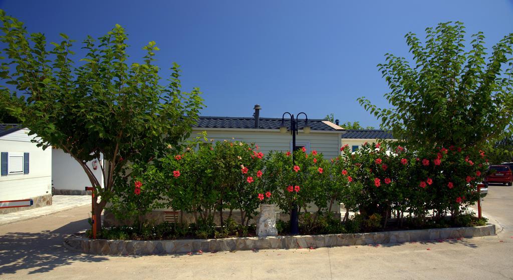 Camping Los Pinos Peñíscola 외부 사진