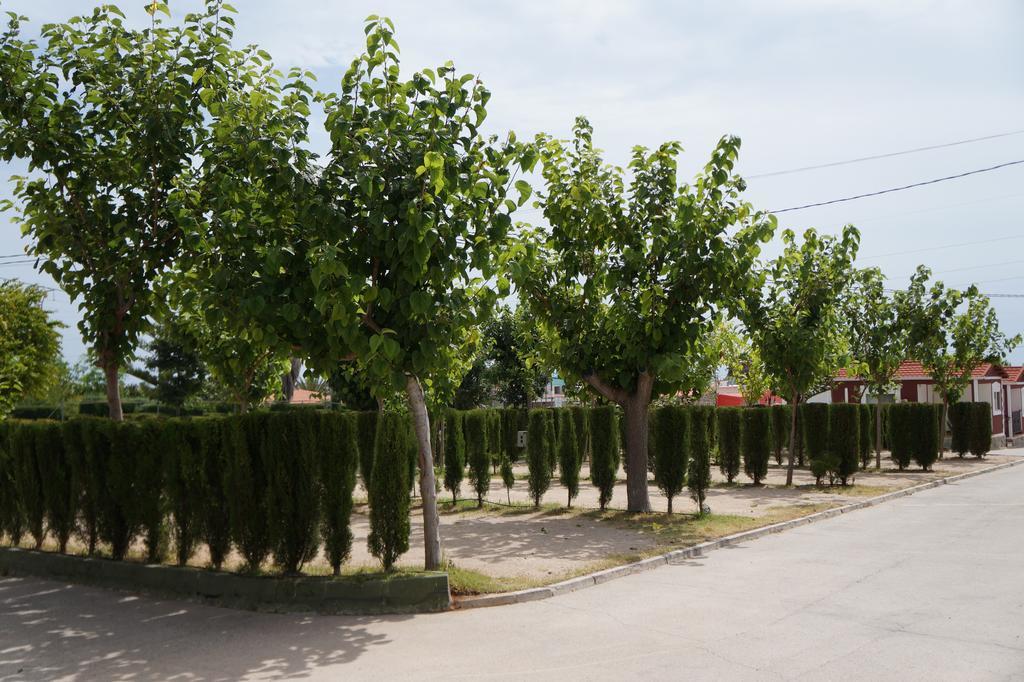 Camping Los Pinos Peñíscola 외부 사진