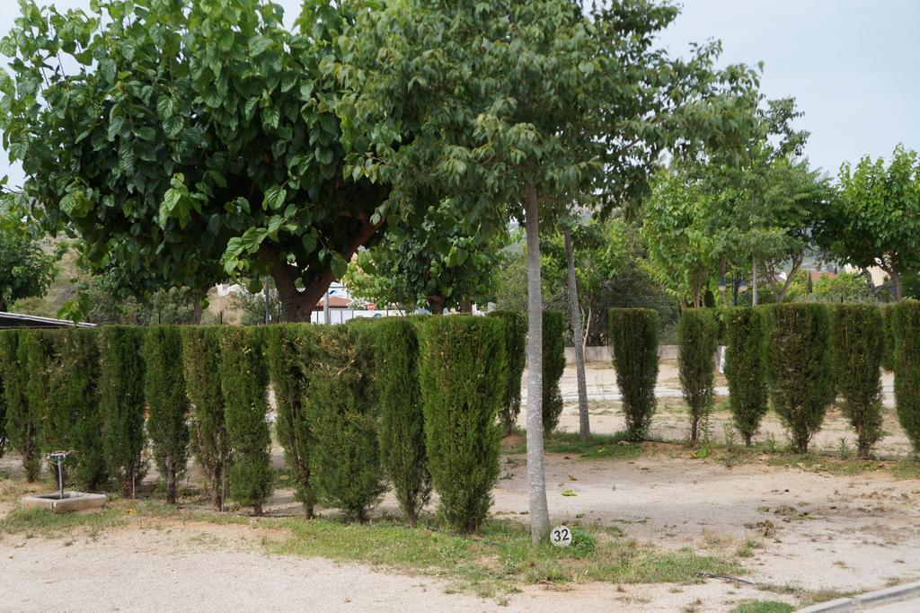 Camping Los Pinos Peñíscola 외부 사진
